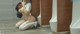 A woman in a school uniform sitting on the floor next to urinals.